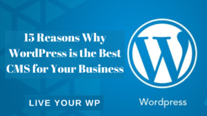 15 Reasons Why WordPress is the Best CMS for Your Business